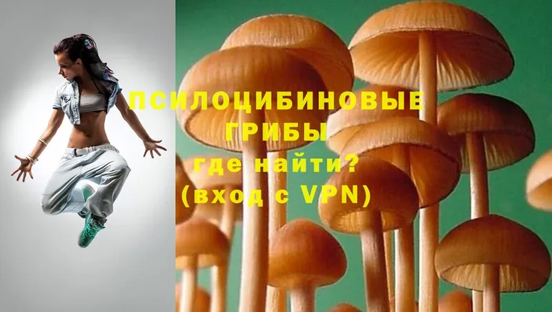 blacksprut ТОР  Елабуга  Галлюциногенные грибы MAGIC MUSHROOMS 